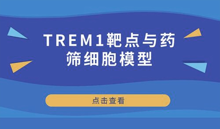先驅還是先烈-TREM1靶點與藥篩細胞模型