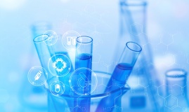 質(zhì)粒隨機(jī)整合穩(wěn)定細(xì)胞株