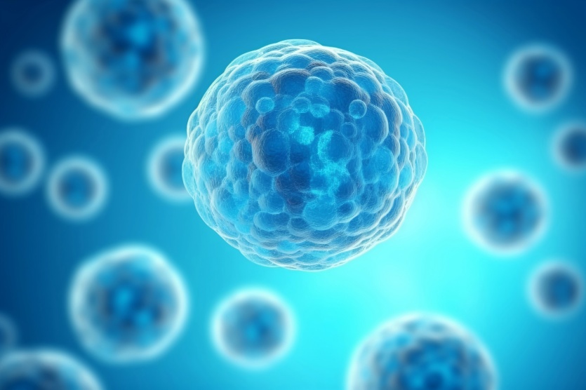 免疫治療靶點(diǎn)模型構(gòu)建